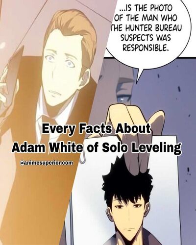 You are currently viewing Every facts that you should know about Adam White of Solo Leveling